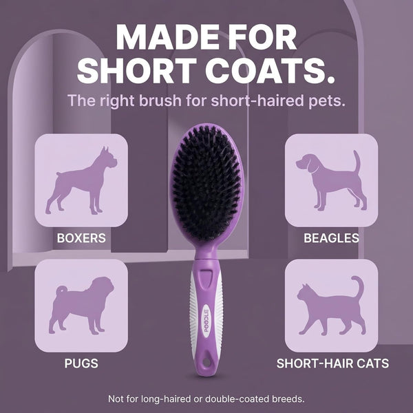 Soft Bristle Dog Brush for Short Haired Cats or Dogs - Firm Bristles to Remove Dust, Dirt, and Loose Fur - Hook and Rubber Handle5