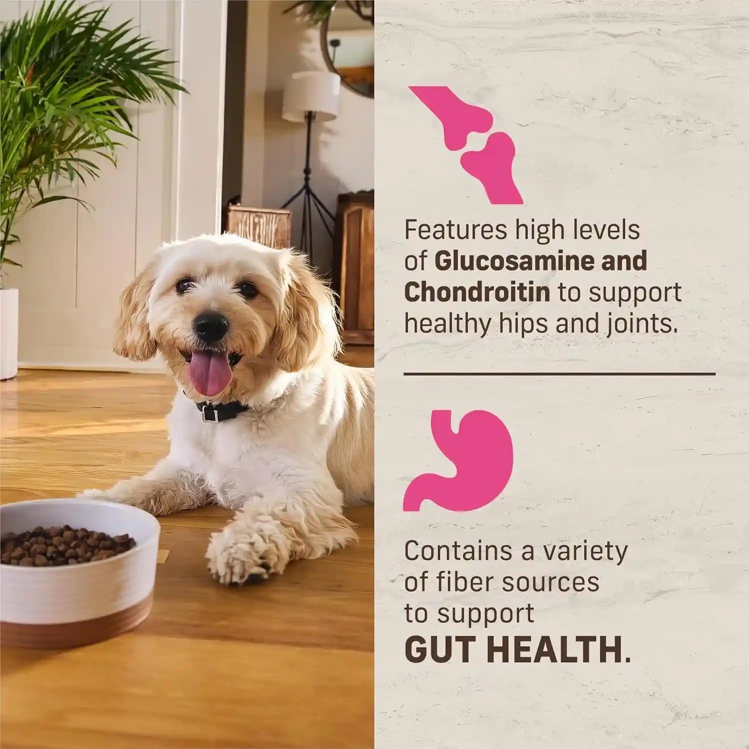 merrick-healthy-grains-premium-dry-dog-food-for-small-dogs-wholesome-and-natural-kibble-small-breed-recipe-4-0-lb-bag