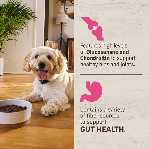 Merrick Healthy Grains Premium Dry Dog Food for Small Dogs, Wholesome and Natural Kibble, Small Breed Recipe - 4.0 Lb. Bag9