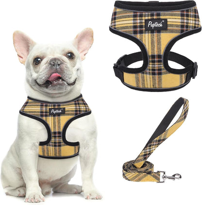 PUPTECK Soft Mesh Dog Harness Small Sized and Leash Set Pet Puppy Cat Comfort Padded Vest No Pull Harnesses, Beige, S39