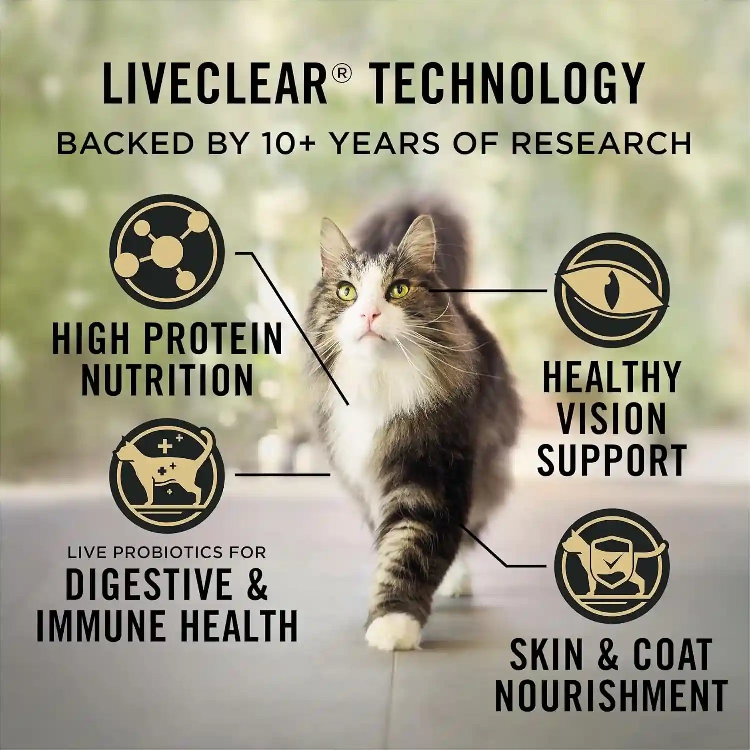 purina-pro-plan-allergen-reducing-high-protein-cat-food-liveclear-salmon-and-rice-formula-7-lb-bag