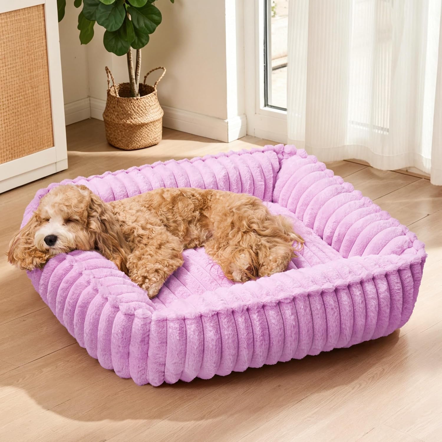 small-dog-bed-calming-cat-bed-for-indoor-cats-20-x16-sage-grey-rectangle-orthopedic-pet-sofa-bed-washable-anti-anxiety-soft-puppy-couch-nonskid-bottom-furry-cuddler-up-to-9-lbs