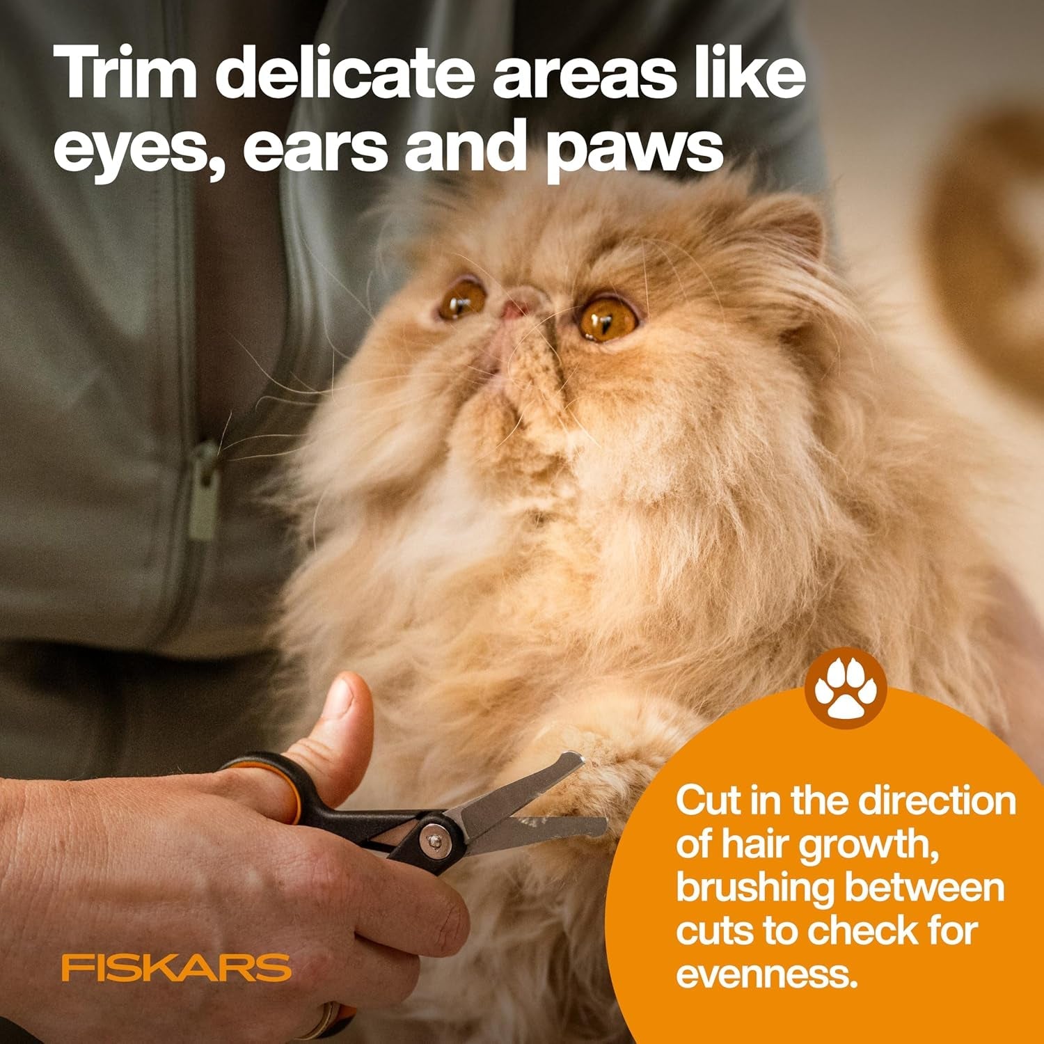 fiskars-pet-grooming-detailing-scissors-for-dogs-cats-5-5-orange-black-detailing-scissors-with-rounded-tips-softgrip-handle-cat-and-dog-supplies