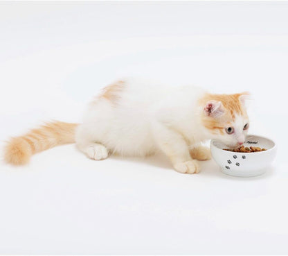 Necoichi Shallow Wide Ceramic Cat Food & Water Bowl (Paw, Basic Flat)7