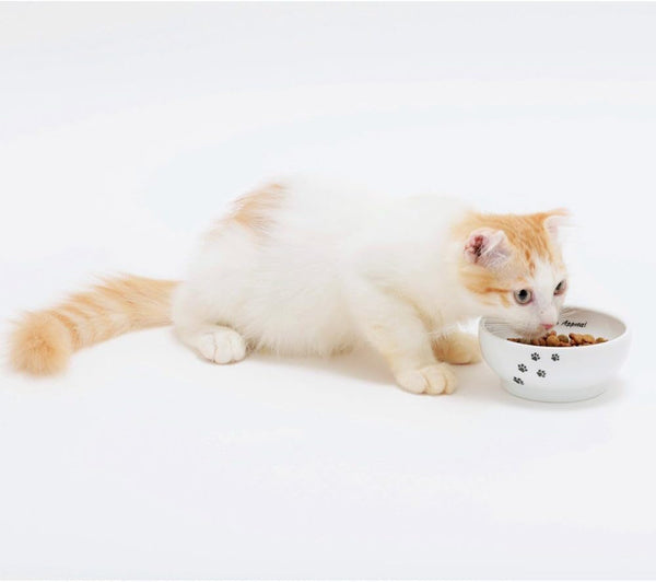 Necoichi Shallow Wide Ceramic Cat Food & Water Bowl (Paw, Basic Flat)7