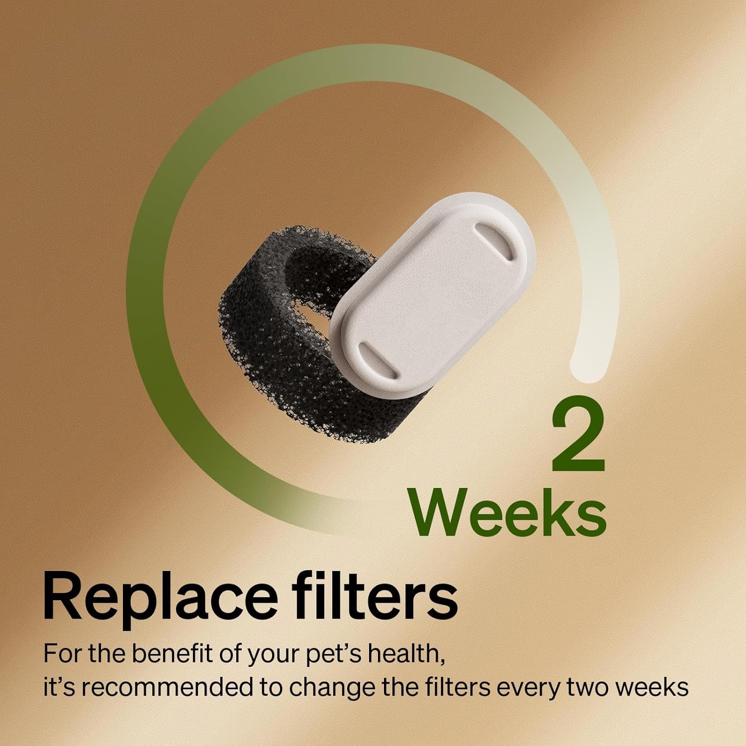 petlibro-8-packs-replacement-filters-for-stainless-steel-cat-water-fountain-plwf003-plwf006-4-months-set-of-replacement-filters-fot-pet-water-fountain-stainless-steel