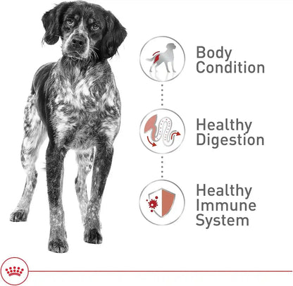 ROYAL CANIN Size Health Nutrition Medium Adult Dry Dog Food, 17 Lb Bag4