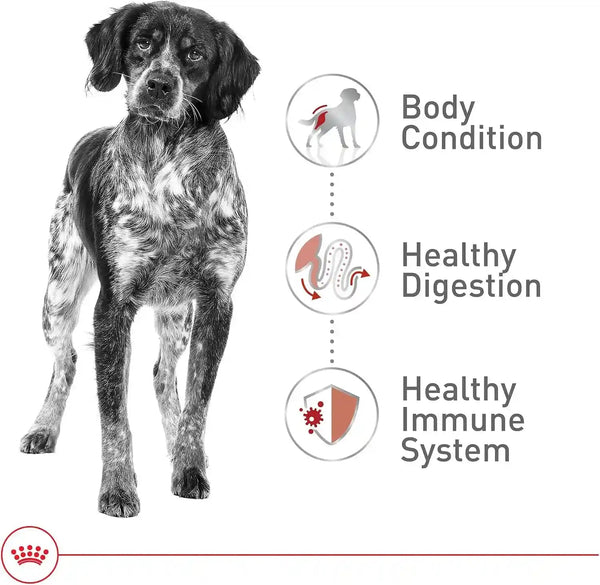 ROYAL CANIN Size Health Nutrition Medium Adult Dry Dog Food, 17 Lb Bag4