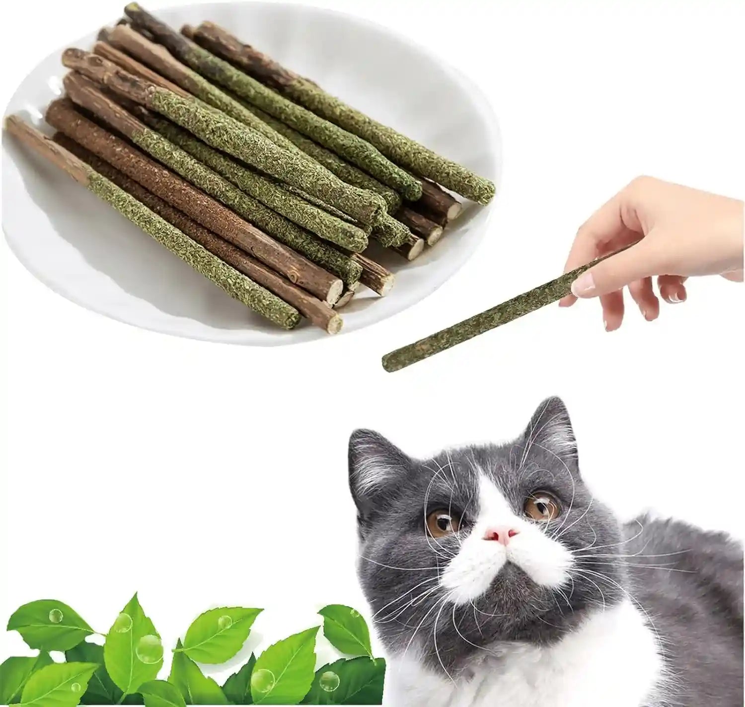 natural-silvervine-catnip-dental-chew-sticks-12-pc-100-natural-dental-chews-6-catnip-6-silvervine-fruit-cleans-teeth-freshens-breath-and-relieves-kitten-teething