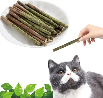 Natural Silvervine & Catnip Dental Chew Sticks,12 PC | 100% Natural Dental Chews (6 Catnip, 6 Silvervine Fruit). Cleans Teeth, Freshens Breath, and Relieves Kitten Teething1