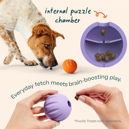 WOOF Flyball Fetch Ball & Dog Treat Dispenser Toy, 3-Pack | 2-In-1 Fetch Ball, Fits Standard Ball Launchers, Treat Dispenser, Durable Rubber, Dishwasher Safe, Puzzle Enrichment4