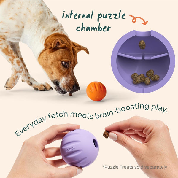 WOOF Flyball Fetch Ball & Dog Treat Dispenser Toy, 3-Pack | 2-In-1 Fetch Ball, Fits Standard Ball Launchers, Treat Dispenser, Durable Rubber, Dishwasher Safe, Puzzle Enrichment4