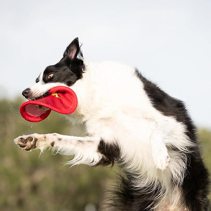 Nerf Dog Nylon Flyer Dog Toy, Flying Disc, Lightweight, Durable and Water Resistant, Great for Beach and Pool, 9 Inch Diameter, for Medium/Large Breeds, Single Unit, Red4
