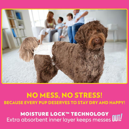 OUT! Petcare Female Dog Diapers, Disposable Dog Diapers, M/L, 32 Count | Dog Diaper, Potty Training, Incontinence Support, Leak Proof, Puppy Training, Dog in Heat, Disposable Protection, Secure Fit6