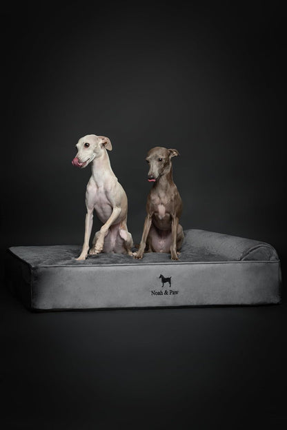 NOAH & PAW Large Dog Bed, 35X25X8.7 Inch, Orthopedic Dog Beds, Eggshell Memory Foam Infused with Cooling Gel, Water Resistant, Machine Washable, Includes Inner Cover (Velvet Collection)6