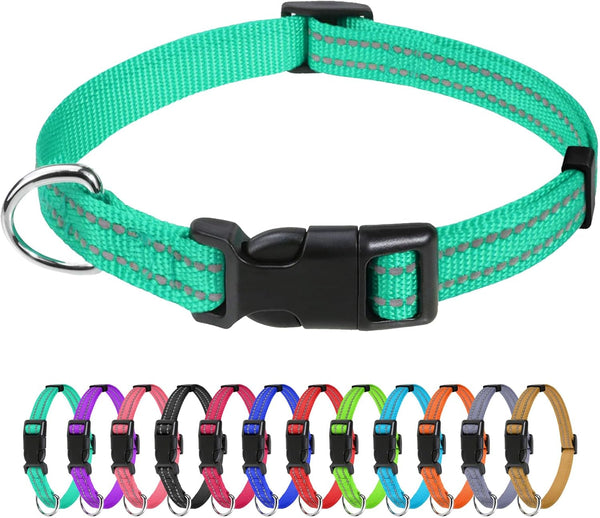 Tagme Small Dog Collar, Reflective Puppy Collar, Sky Blue, 3/8" Width | Lightweight, Nylon Collar for Puppies, Chihuahua, Yorkie & Teacup Dogs 5-15 Lbs, Reflective for Evening Walks, 12 Colors49