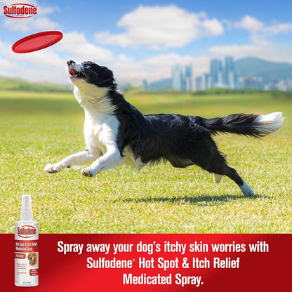 Sulfodene Hot Spot & Itch Relief Medicated Spray for Dog 8Oz | Vet Recommended, anti Itch Spray for Dogs with Aloe Vera, Dog Hot Spot Spray for Allergies, Scrapes, and Abrasions2