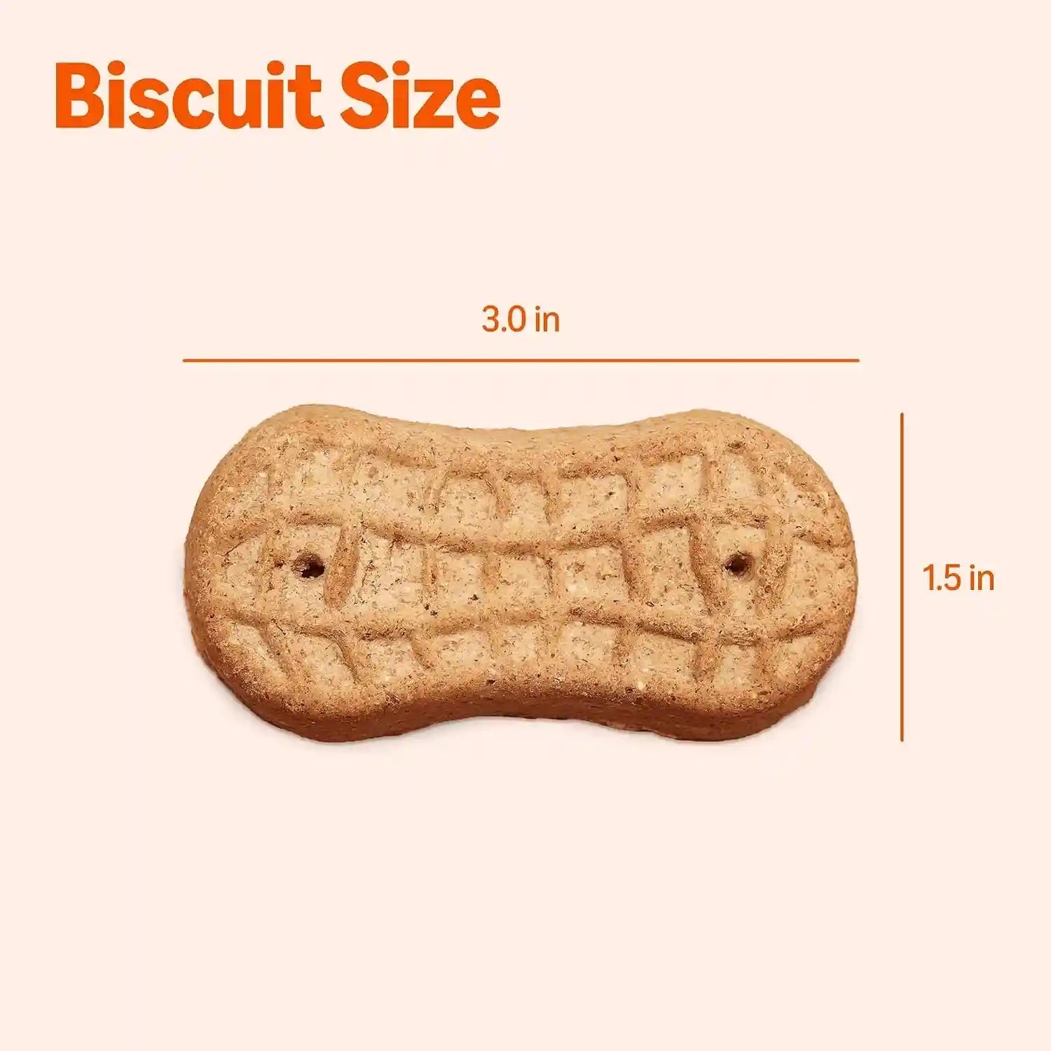 amazon-basics-crunchy-dog-biscuits-peanut-butter-flavor-dog-treats-5-lb-box