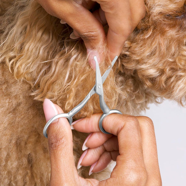 Tweezerman Pet Grooming Scissors-Rounded Tip Trimming Scissor for Dogs/Cats5