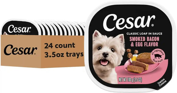 Cesar Classic Loaf in Sauce Wet Dog Food, Filet Mignon, 3.5 Oz, 24 Count | Made in USA, Real Beef #1 Ingredient, No Fillers/Added Sugar/Artificial Flavors, Use as Meal or Topper, Easy Peel Trays15