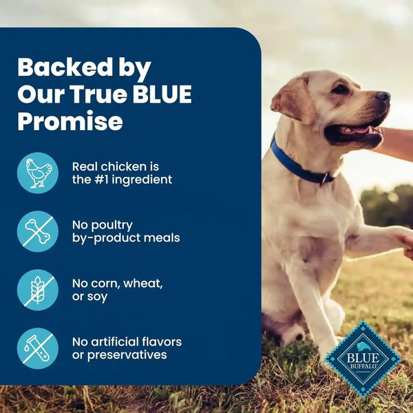 Blue Buffalo Homestyle Recipe Chicken & Vegetable Dinner Paté Natural Wet Dog Food for Senior 7+ Dogs, Made with Natural Ingredients, Vitamins & Minerals, 12.5-Oz. Can (12 Count)7