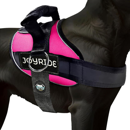 Joyride Dog Harness 2.0 | No-Pull | Blue 2.0 | M | Reflective No-Choke Quick-Fit Vest with 3 Leash Clips and Escape-Resistant Design for Easier Walks and Training12