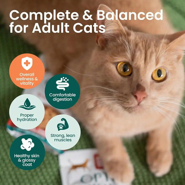 Optimeal Wet Cat Food Variety Pack - Savory Protein Selection, Grain Free Tender Morsels, High Protein Premium Nutrition Made with Natural European Ingredients, Adult Cat Pouches 3Oz (Pack of 12)6