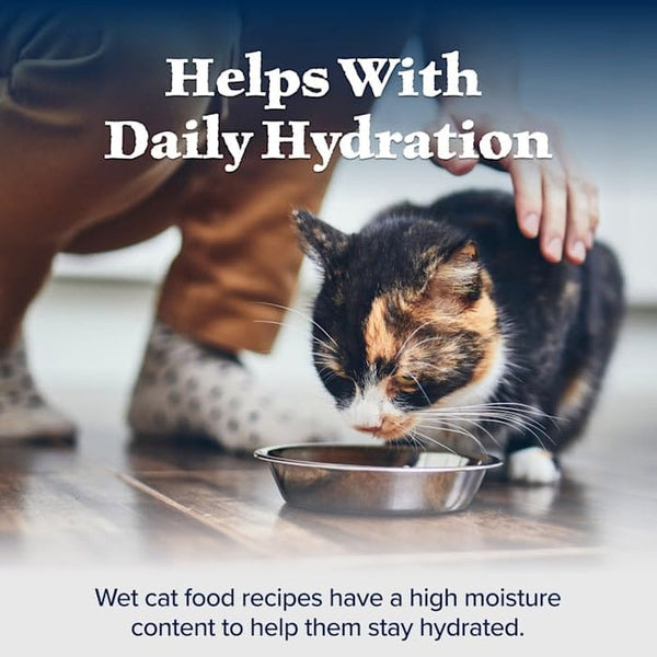 Blue Buffalo Wilderness Variety Pack Adult Paté Wet Cat Food, 3 Oz, 12 Ct | Chicken, Salmon, and Duck Patés (4 of Each), High Protein & Grain-Free Recipes, Supports Daily Hydration2
