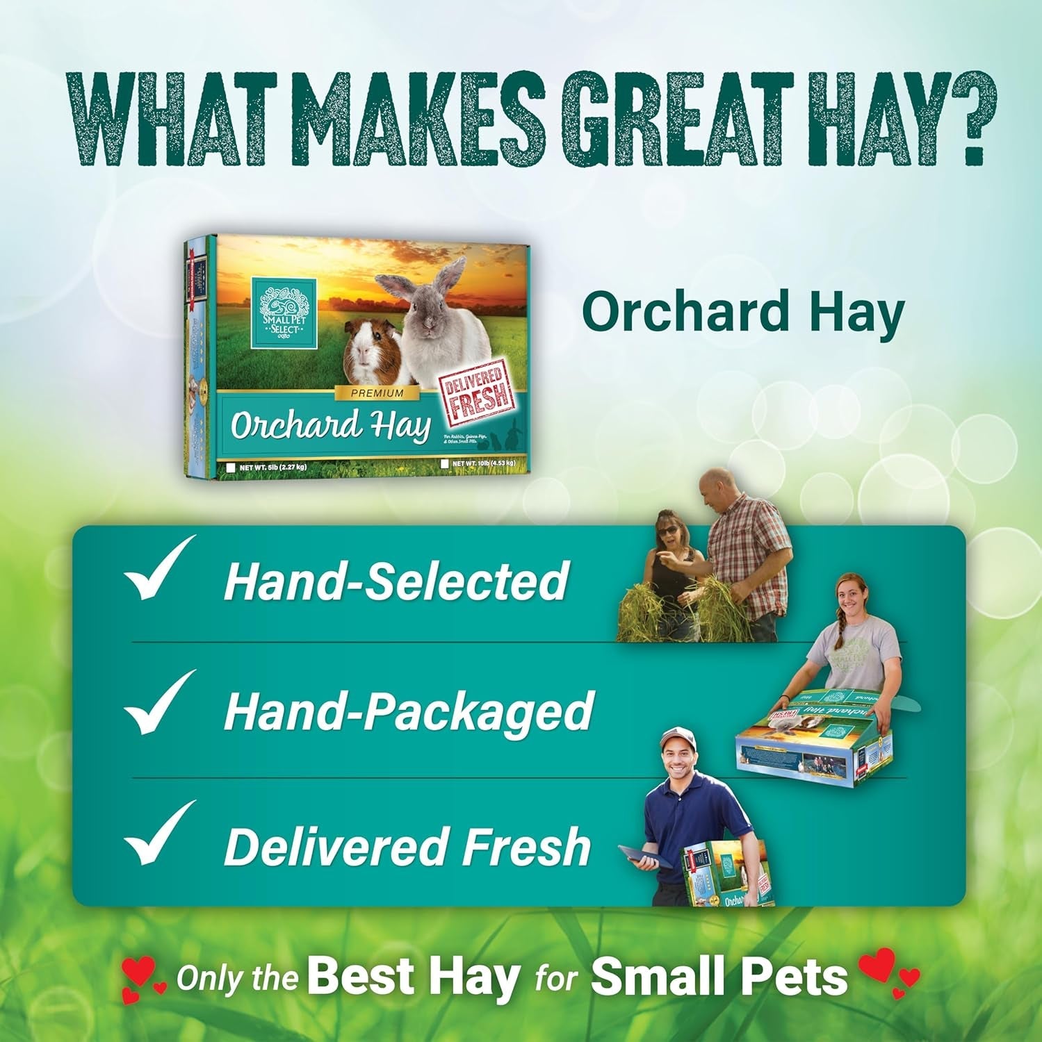 small-pet-select-orchard-grass-hay-pet-food-for-rabbits-guinea-pigs-chinchillas-and-other-small-animals-premium-natural-hay-grown-in-the-us-10-lb-premium-natural-grass-hay-grown-in-usa-soft-high-fiber-forage-for-chinchillas-bunnies-hamsters-small-pets