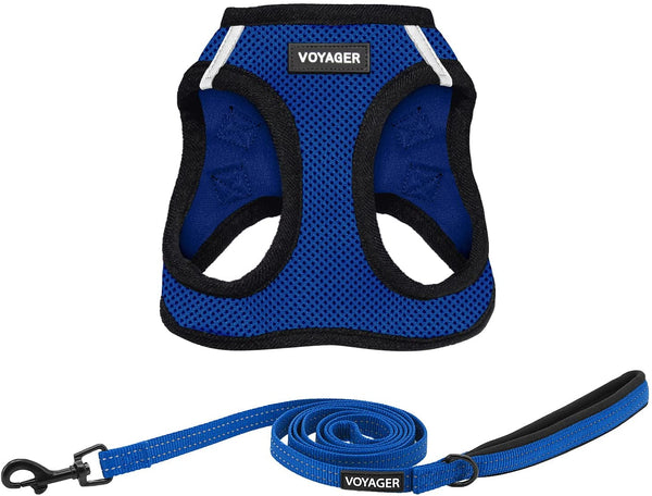 Best Pet Supplies Voyager Step-In Air All Weather Mesh Harness and Reflective Dog 5Ft Leash Combo with Neoprene Handle, for Small, Medium and Large Breed Puppies - Baby Blue, Small34