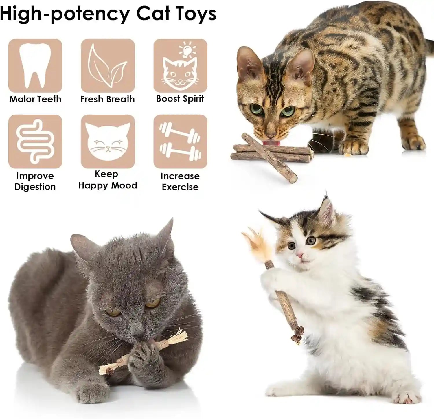 bissap-10-pcs-silvervine-chew-sticks-for-cats-catnip-chew-sticks-cat-toys-for-indoor-cat-kitten-teeth-grinding-interactive-feather-toys-for-aggressive-chewers-dental-care