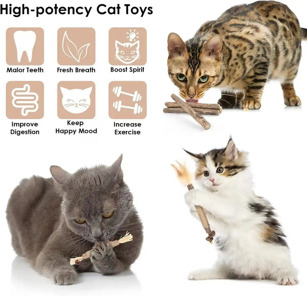 Bissap 10 PCS Silvervine Chew Sticks for Cats, Catnip Chew Sticks Cat Toys for Indoor Cat Kitten Teeth Grinding Interactive Feather Toys for Aggressive Chewers Dental Care2