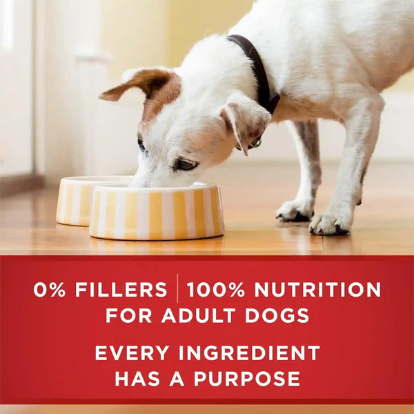 Purina ONE Natural High Protein Dog Food, Tender Cuts in Gravy Chicken and Brown Rice Entrée - 13 Ounce (Pack of 12)10
