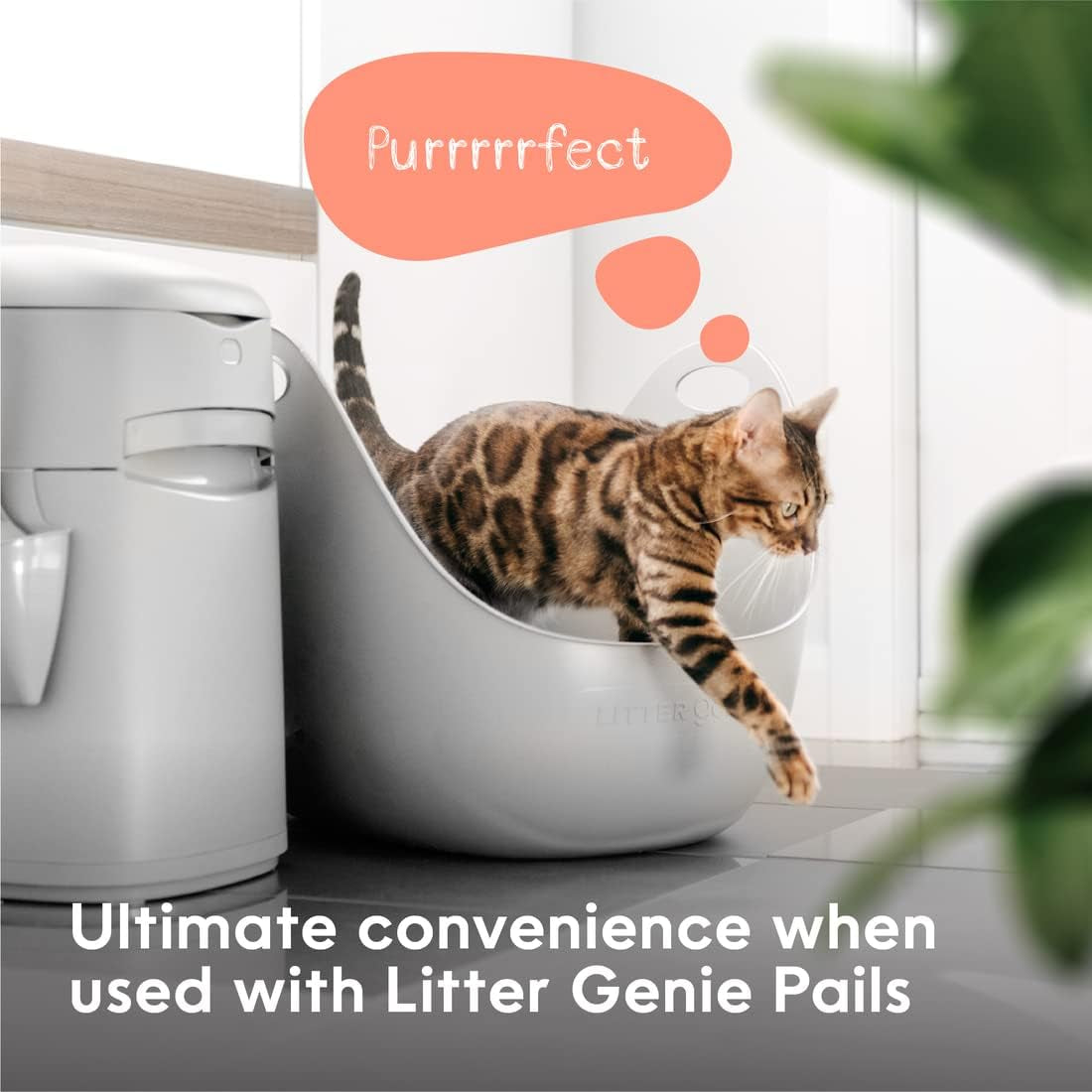 litter-genie-cat-litter-box-portable-open-high-sided-cat-litter-box-with-handles-flexible-plastic-litter-box-comfortable-easy-clean-cat-box