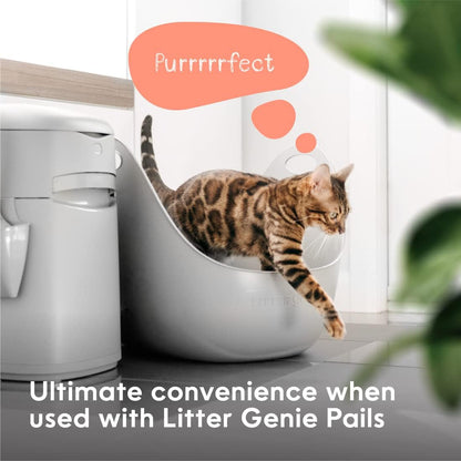 Litter Genie Cat Litter Box | Portable, Open, High Sided Cat Litter Box with Handles | Flexible Plastic Litter Box | Comfortable, Easy-Clean Cat Box6