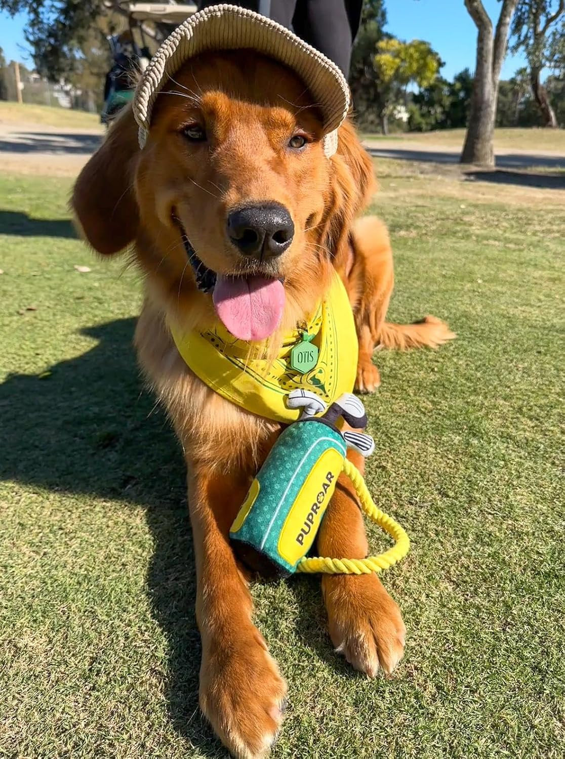 puproar-golf-dog-toy-dog-birthday-gift-funny-squeaky-plush-rope-golf-bag-toy-for-small-medium-large-breeds