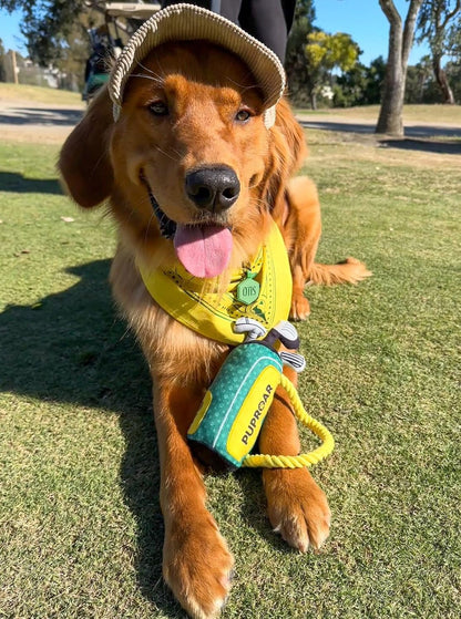 PUPROAR Golf Dog Toy, Dog Birthday Gift, Funny Squeaky Plush Rope Golf Bag Toy for Small, Medium & Large Breeds4