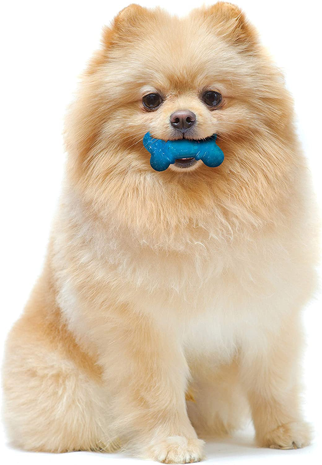 nylabone-flexi-chew-tiny-gumabone-dog-chew-toys-xx-small-2-count-peanut-butter-bacon-flavor-x-small-breeds-flexible-material-fill-with-treats-gentle-on-teeth-for-dogs-up-to-15-lbs