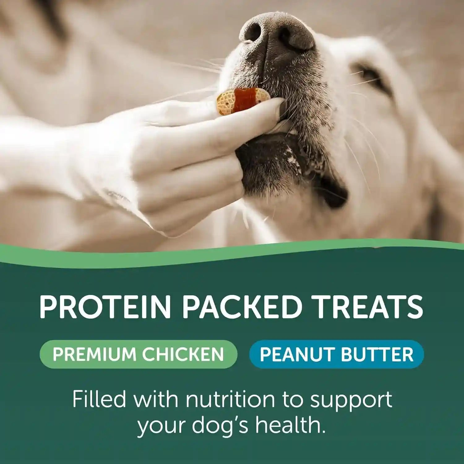 healthfuls-chicken-peanut-butter-healthy-dog-treats-high-protein-low-fat-biscuit-wraps-with-real-peanut-butter-16-oz
