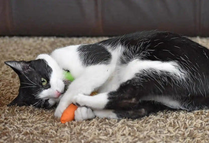 Ourpets 100-Percent North American Catnip Filled Carrot Cat Toy 24 Karat9