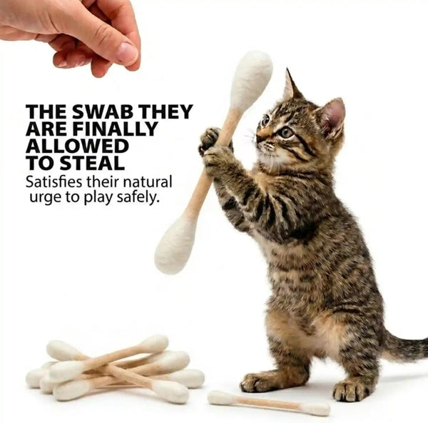 Glaciart One Swabs Cat Toys with Catnip - 6 Pk | Durable for Chew, Cute Cat Toys Interactive Kitty for Boredom, Exercise, & Play | Filled W/Organic Catnip for Anxiety & as Digestive Aid | Gift Idea3