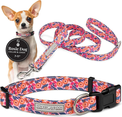 Lucky Love Dog - Easy Click Buckle Dog Collar with Leash Set Combo, Durable & Comfortable for Male & Female Dogs, Pet Collar for Medium Dogs, Secure Fit - Blackbird Combo, Medium14
