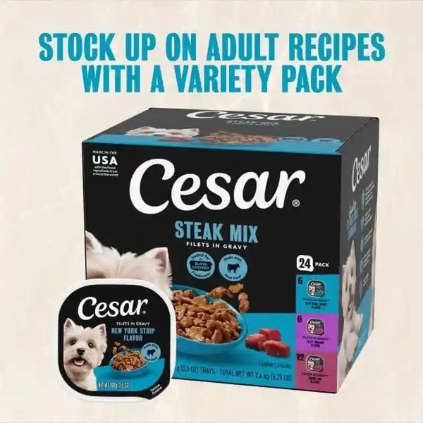 Cesar Filets in Gravy Wet Dog Food, Steak Mix Variety, 3.5 Oz, 24 Count | Filet Mignon, New York Strip & Prime Rib, Real Meat, Slow-Cooked, No Fillers/Added Sugar/Artificial Flavors, Easy Peel Trays13