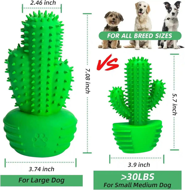 Pamlulu Dog Chew Toys Dog Toothbrush Stick Teeth Cleaning Brush Dental for Medium Large Dog, Puppy Christmas Easter Birthday Gifts, Outdoor Squeaky Toys for Aggressive Chewers Interactive Tough Toys2