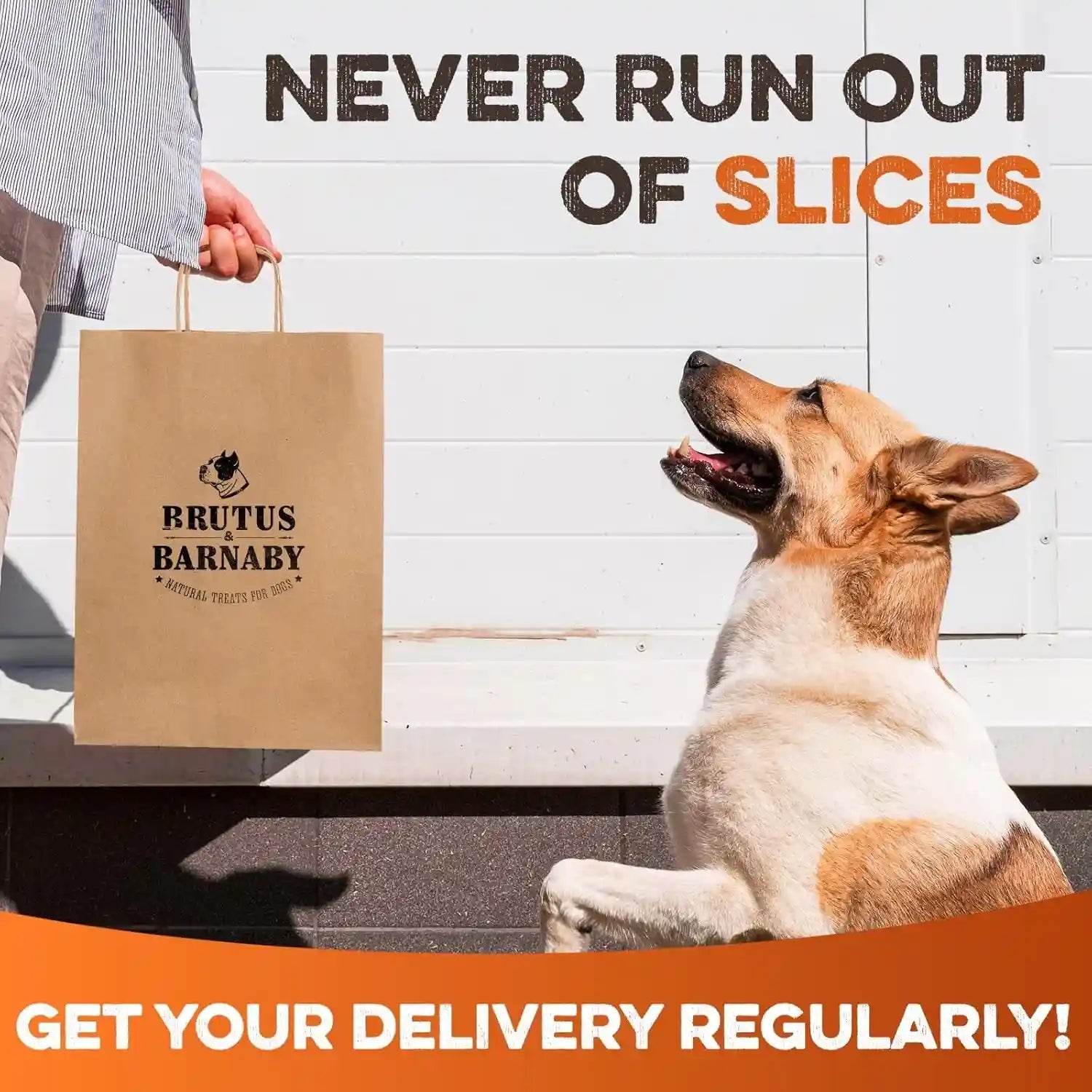 brutus-barnaby-sweet-potato-dog-treats-support-sensitive-stomachs-with-usa-grown-hypoallergenic-treats-that-smell-as-good-as-they-taste