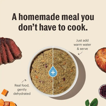 The Honest Kitchen Wholemade Whole Grain Turkey Recipe, Human Grade Dehydrated Dog Food, Just Add Water, Supports Digestion, Skin & Coat, Topper for Dry or Wet Dog Food, 10 Lb Box Makes 40 Lbs5