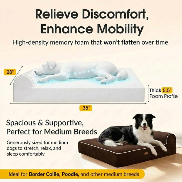 5.5 Inch Thick High Grade Orthopedic Memory Foam Dog Bed with Pillow and Easy to Wash Removable Cover with Anti-Slip Bottom. Free Waterproof Liner Included - for Medium and Large Breed Dogs - Brown3