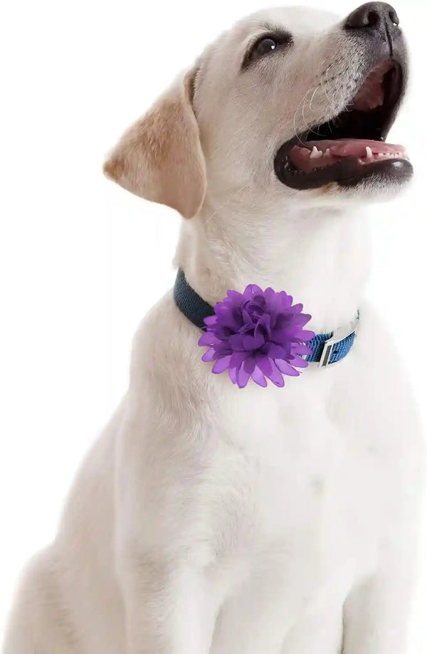 20 Pcs 4.7 Inch Dog Collar Flowers Bow Multicolored Pet Bow Collar Charms Accessories for Puppy Cat Dog Pet Grooming Accessories4