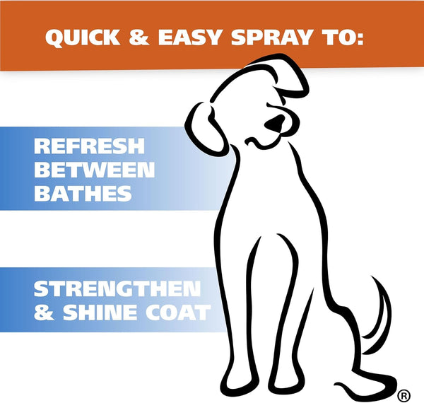 Wahl USA Puppy Pet Deodorant Spray, Deodorizes Odors, Cornflower Aloe, 8 Oz | Freshen up Dog & Cat Coats with a Quick Cornflower Aloe Scented Deodorant Spray for Animals – Model 820009A4