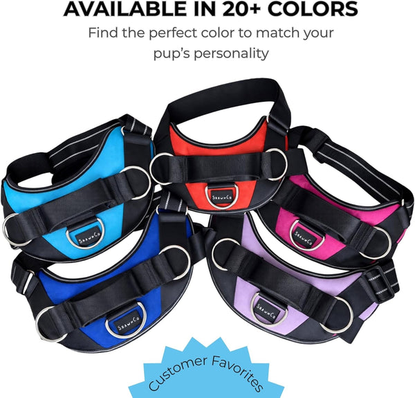 Shawnco Essential Dog Harness, No-Pull Pet Vest with 3 Leash Clips, No Choke, Reflective, Adjustable and Padded, for Easy Walking and Training for Small, Medium and Large Dogs (Oceanic Blue, S)7